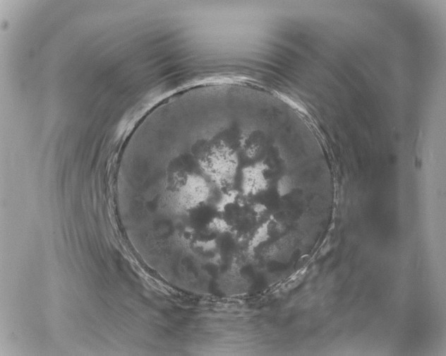 X0000066530337200603241407