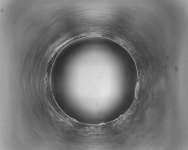 X0000066530338200603241407