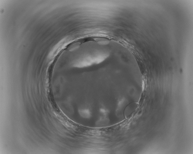 X0000066530339200603241407