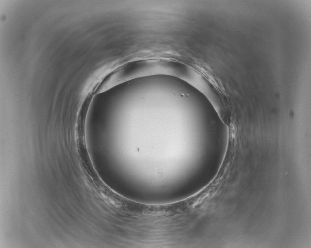 X0000066530340200603241407