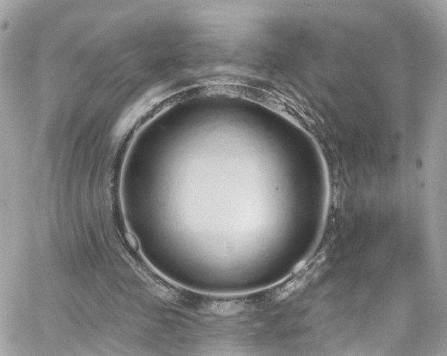 X0000066530341200603241407