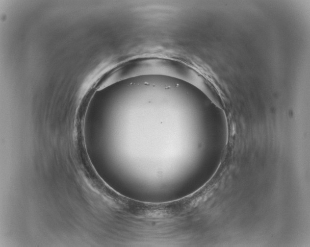 X0000066530344200603241407