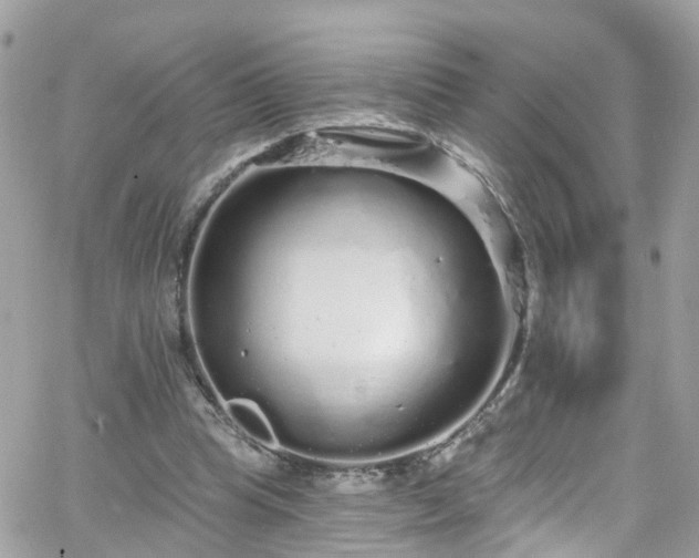 X0000066530345200603241407