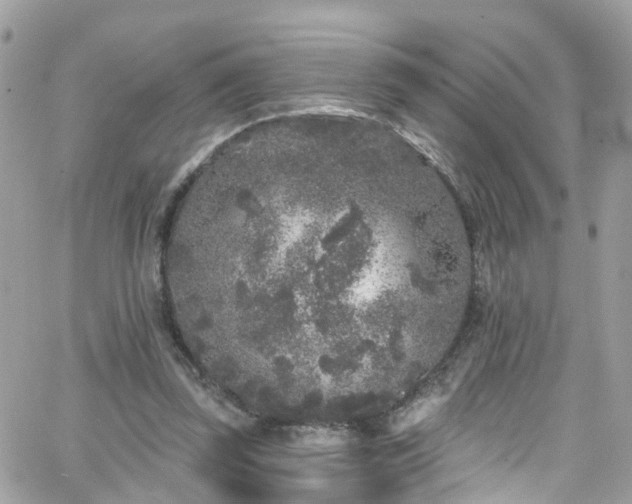 X0000066530347200603241407