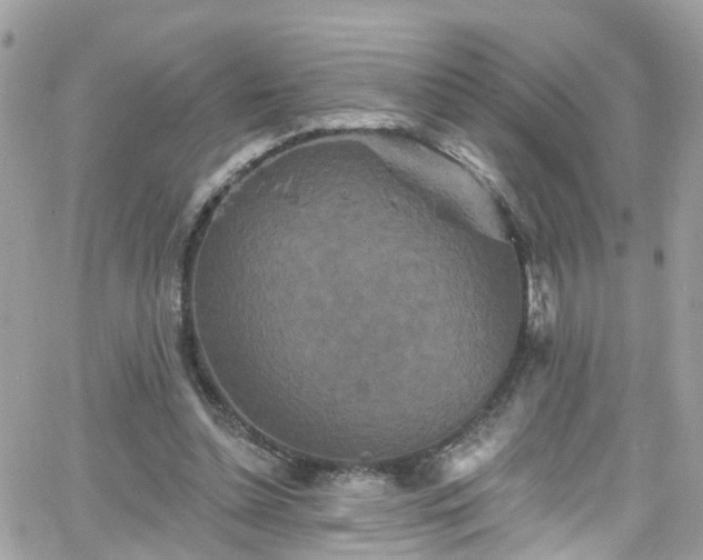 X0000066530348200603241407