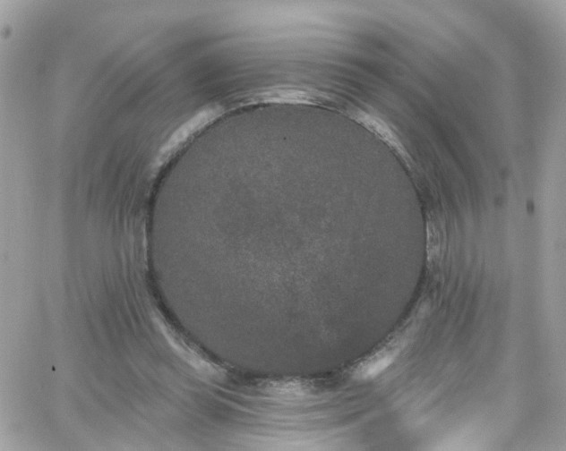 X0000066530349200603241407