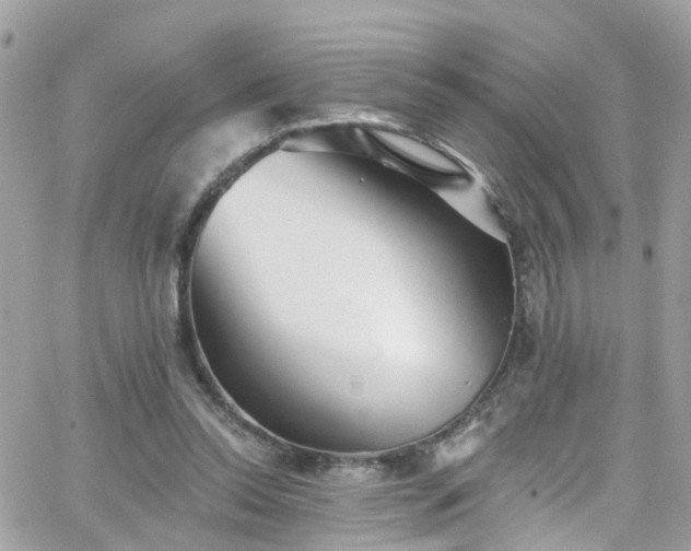 X0000066530350200603241407