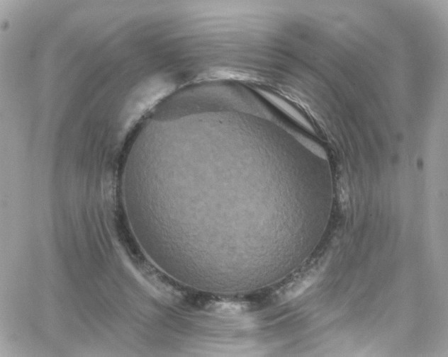 X0000066530352200603241407