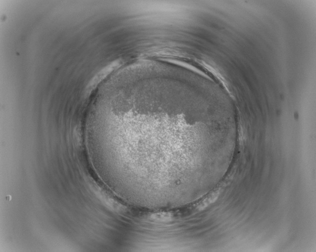 X0000066530353200603241407