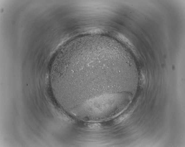 X0000066530355200603241407