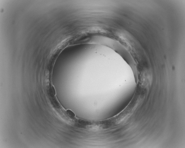 X0000066530356200603241407