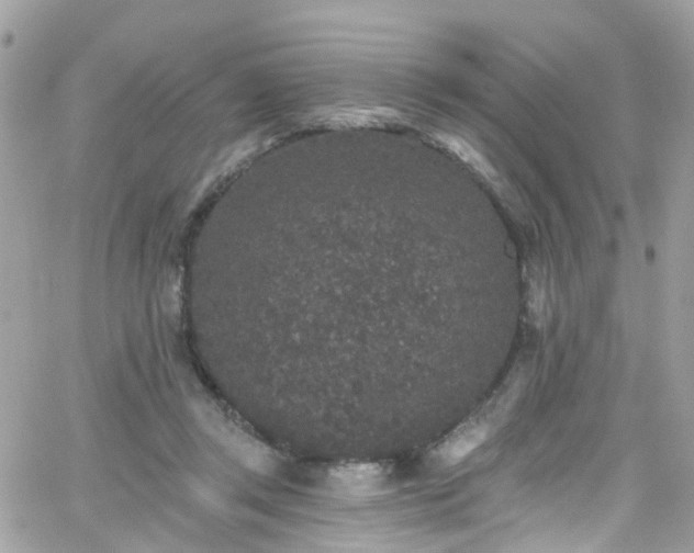 X0000066530357200603241407