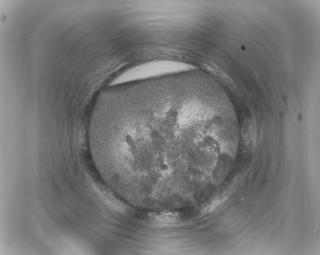 X0000066530359200603241407