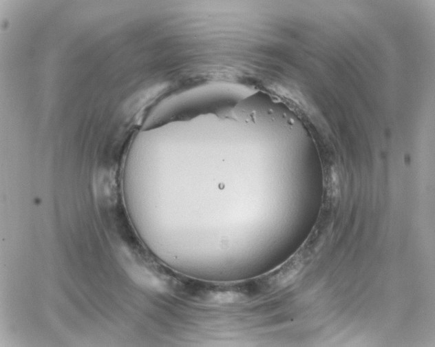 X0000066530360200603241407