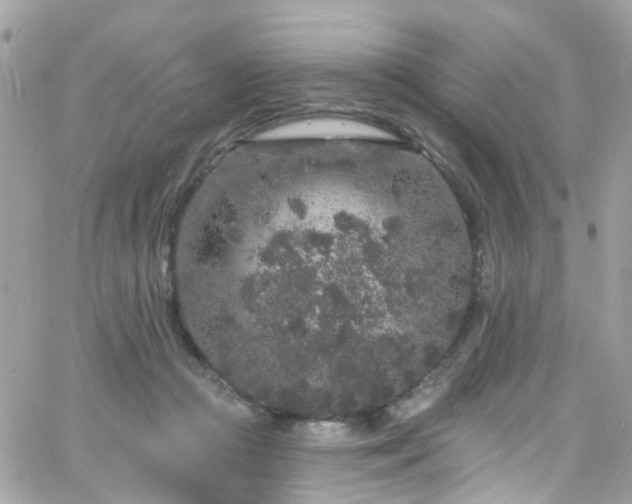 X0000066530361200603241407