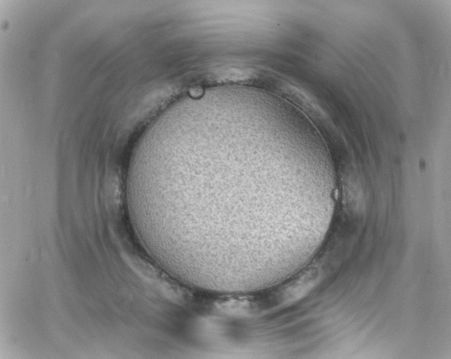 X0000066530362200603241407