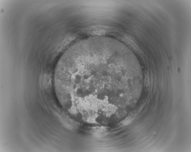 X0000066530363200603241407