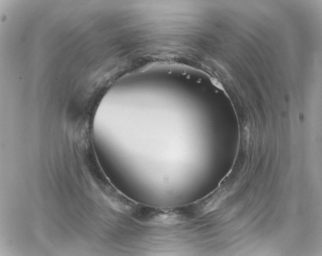 X0000066530364200603241407