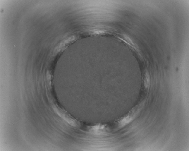 X0000066530366200603241407