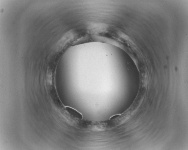 X0000066530368200603241407