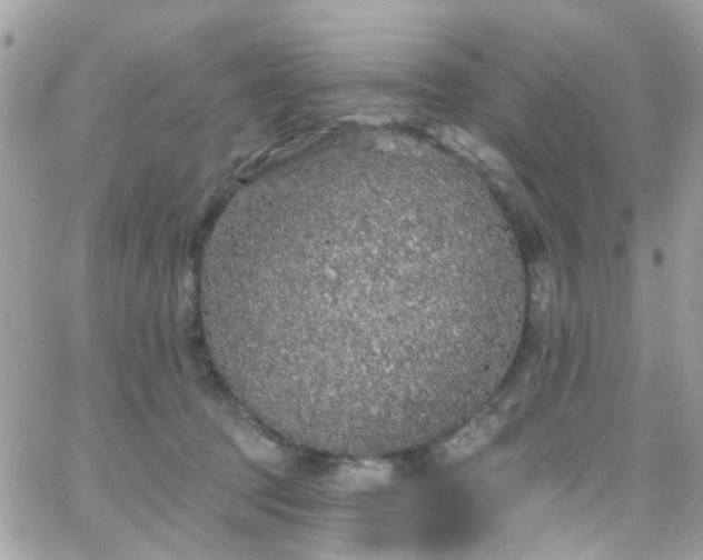 X0000066530369200603241407