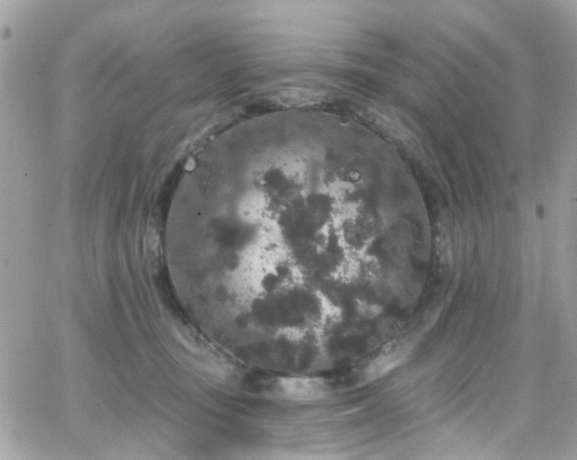 X0000066530371200603241407