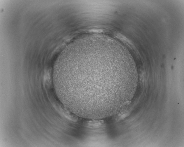 X0000066530373200603241408