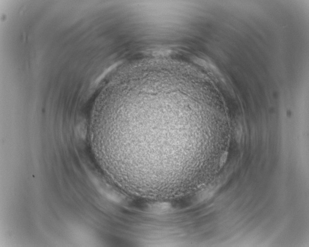 X0000066530374200603241408