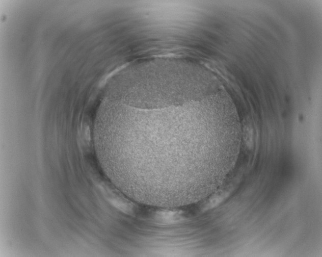 X0000066530375200603241408