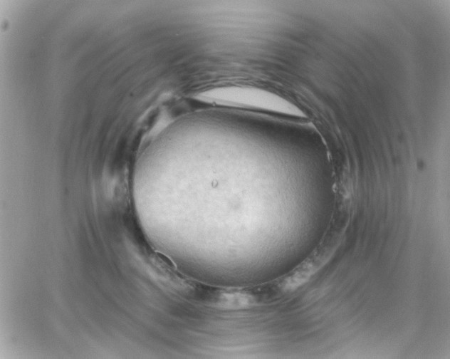 X0000066530376200603241408