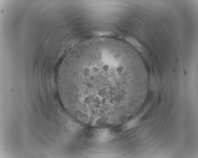 X0000066530377200603241408