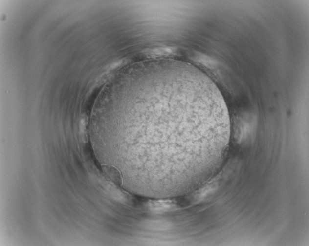 X0000066530378200603241408