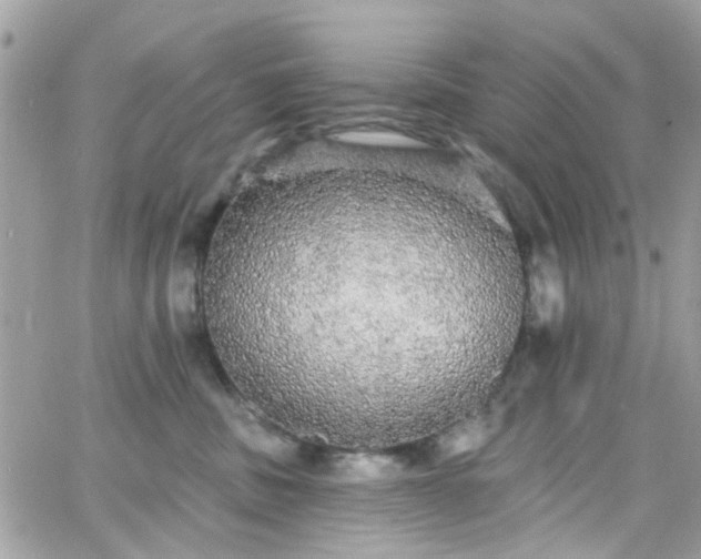 X0000066530379200603241408