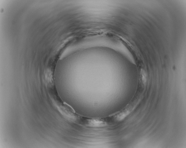 X0000066530380200603241408