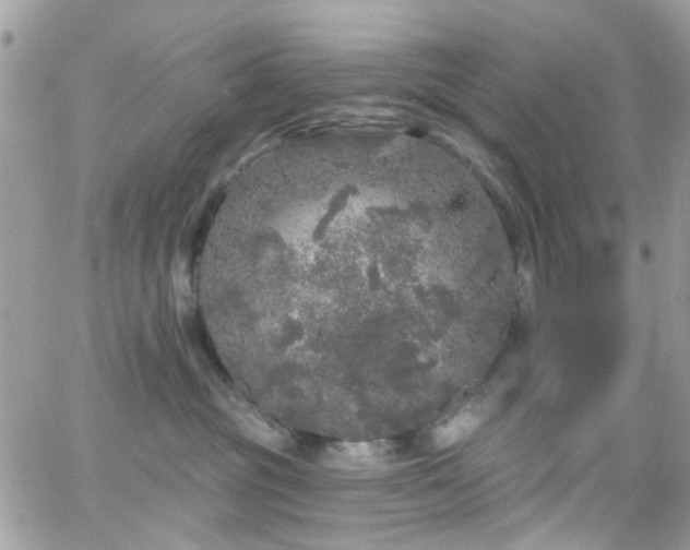 X0000066530381200603241408