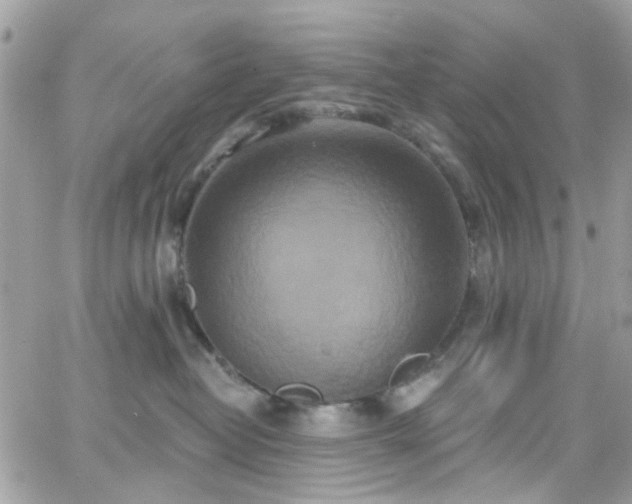 X0000066530382200603241408