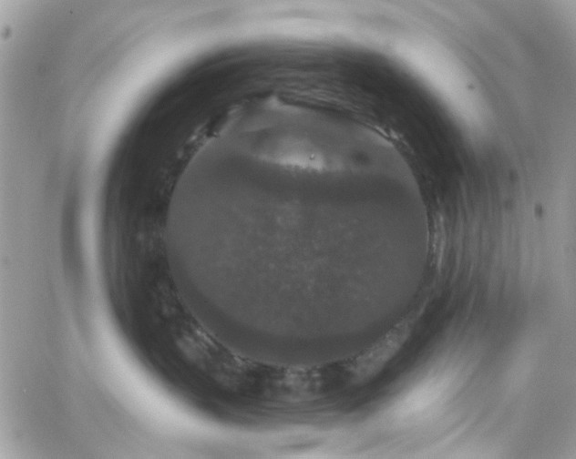 X0000066530383200603241408