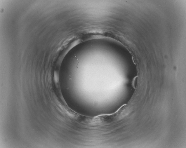 X0000066530384200603241408