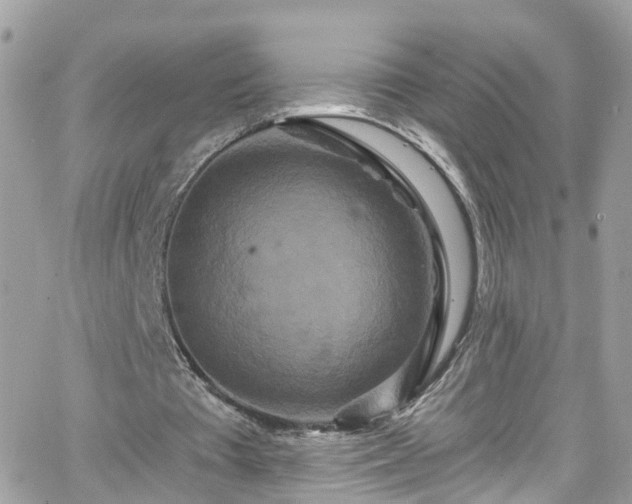 X0000066530385200603241407