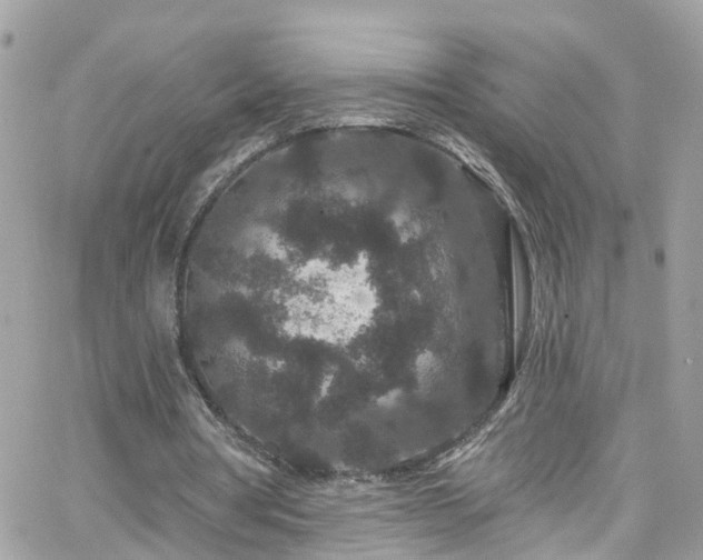 X0000066530386200603241407