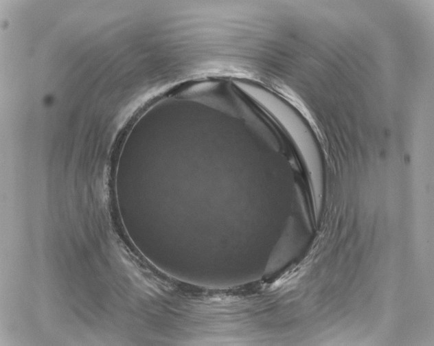 X0000066530387200603241407