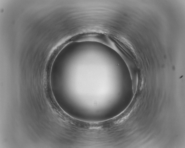 X0000066530388200603241407