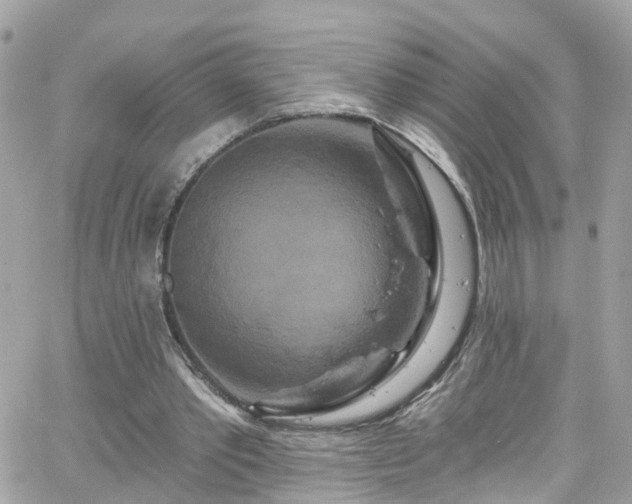 X0000066530389200603241407