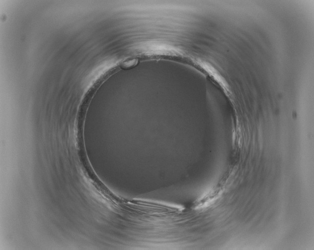 X0000066530391200603241407