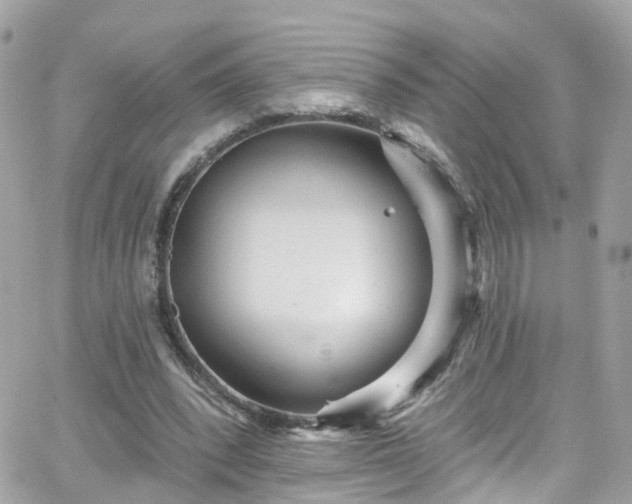 X0000066530392200603241407