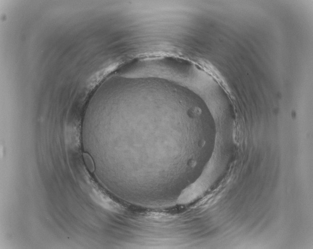 X0000066530393200603241407