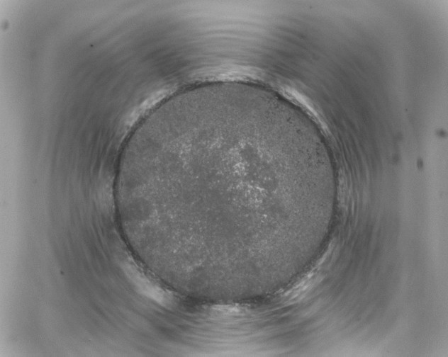 X0000066530394200603241407