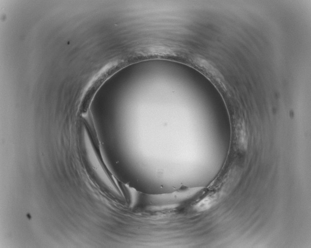 X0000066530395200603241407