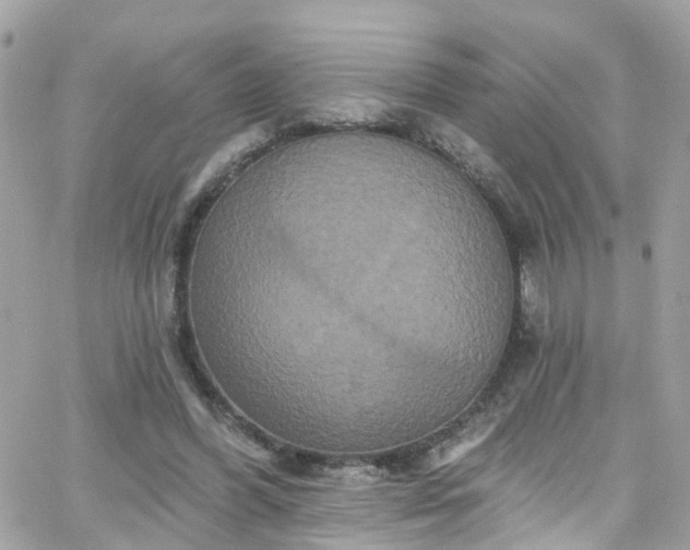 X0000066530396200603241407