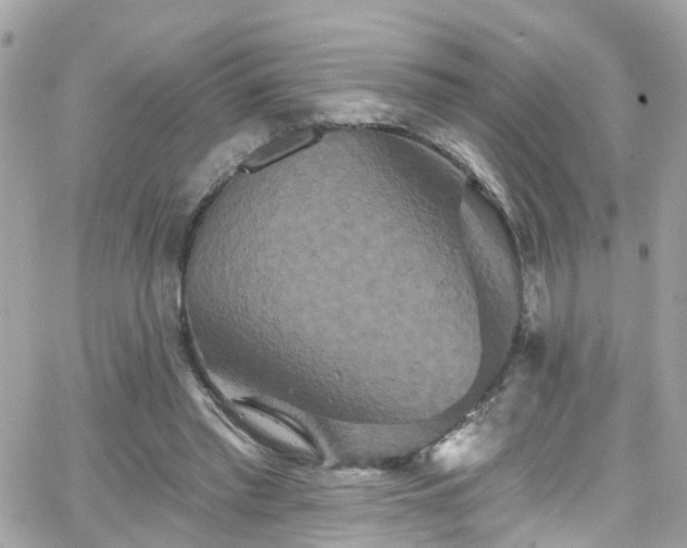 X0000066530397200603241407